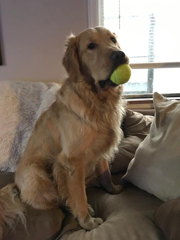 Reggie