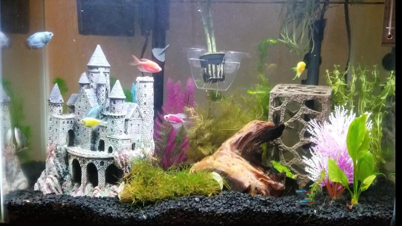 hogwarts aquarium decorations