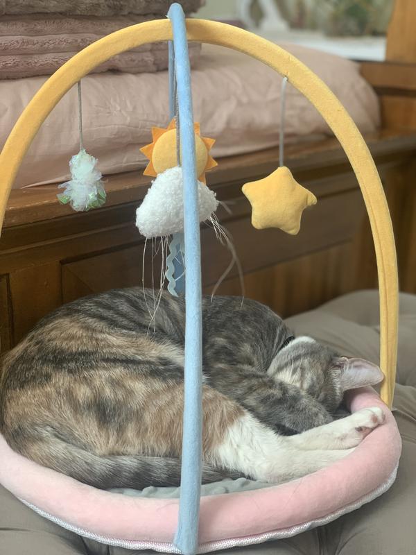 Leaps Bounds Playmat Kitten Toy Petco