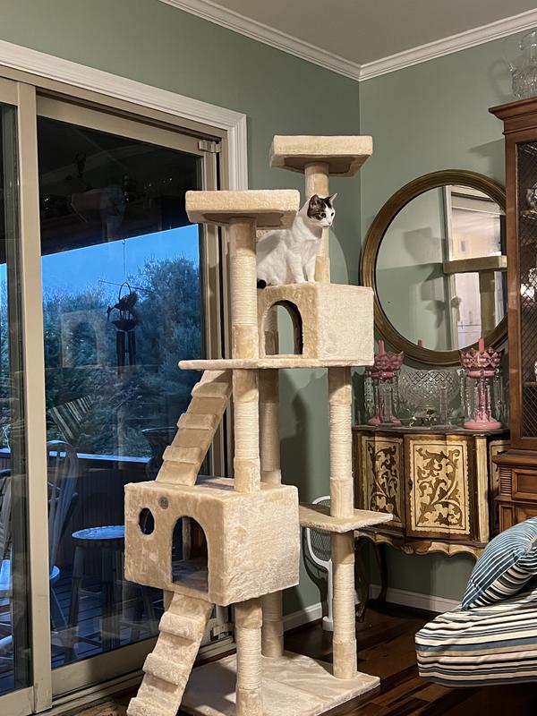 Go Pet Club 72"Cat Tree Condo with Two Ladders, Black Petco
