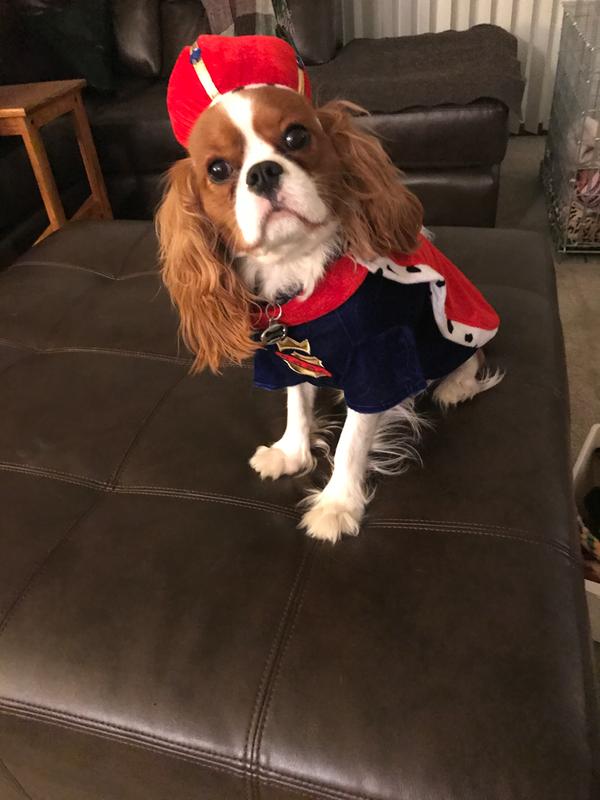 I’m the King of my house