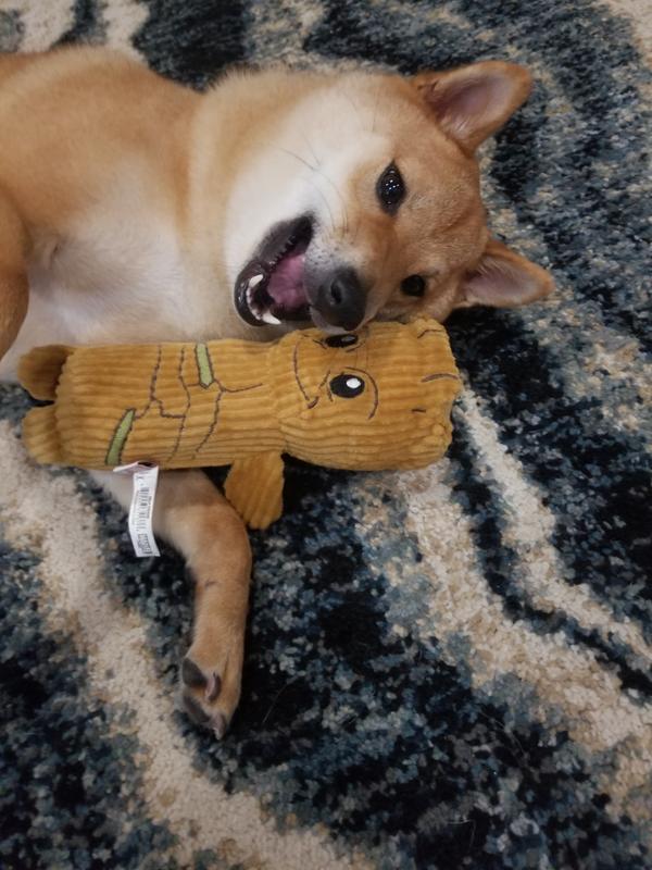 baby groot dog toy
