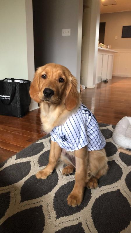 MLBPA Aaron Judge #99 TEE Shirt for Dogs & Cats. MLB New York Yankees Dog T- Shirt, Medium, Sports Dress for Pets