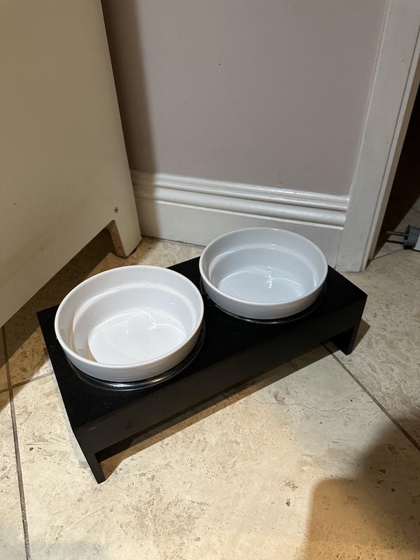 EveryYay Elevated Double Diner Ceramic Bowls from Petco