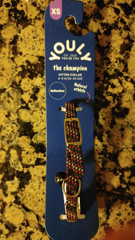 YOULY Black & Red Reflective Kitten Collar, X-Small | Petco