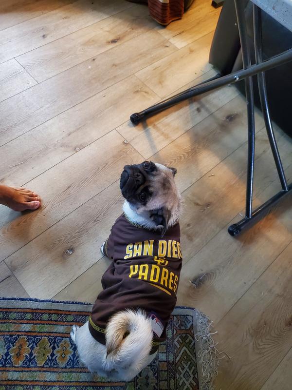 San Diego Padres Dog Jersey