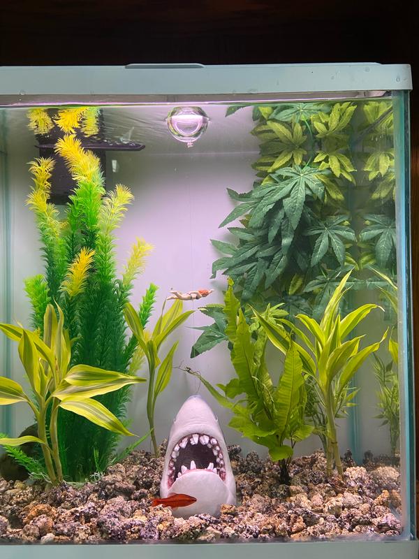 Jaws fish tank decorations sale
