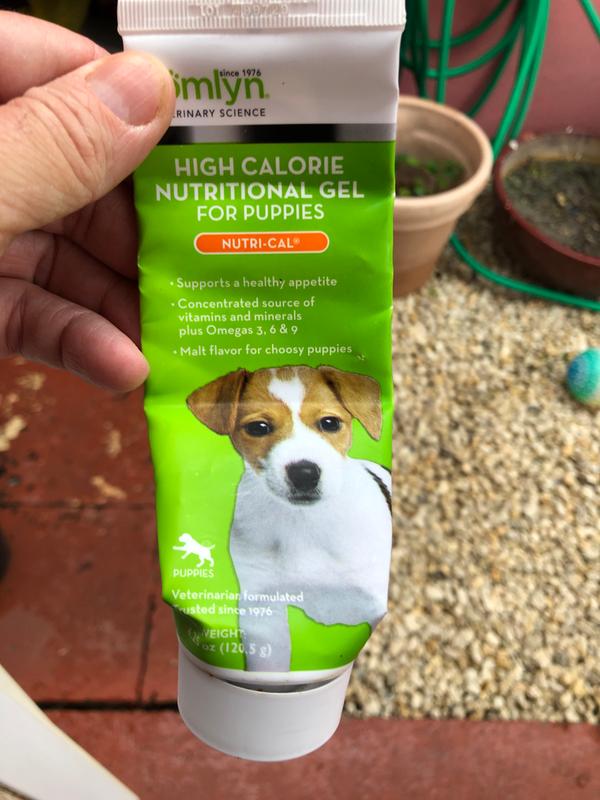 High calorie puppy gel hotsell