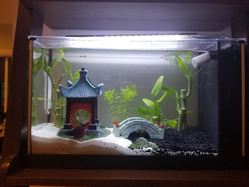 Imagitarium Asian Gazebo With Bamboo Ornament Petco