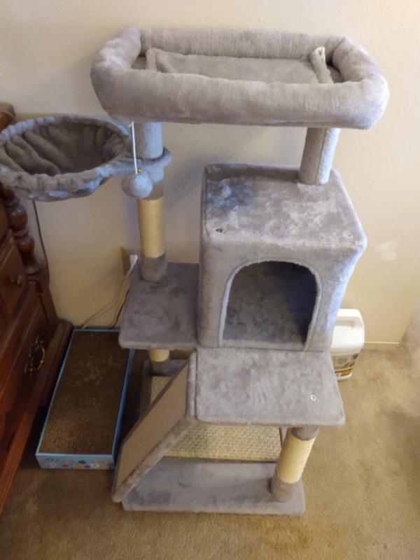 Cat tree, light gray. Sorry the lighting is poor. So color is slightly yellowed.