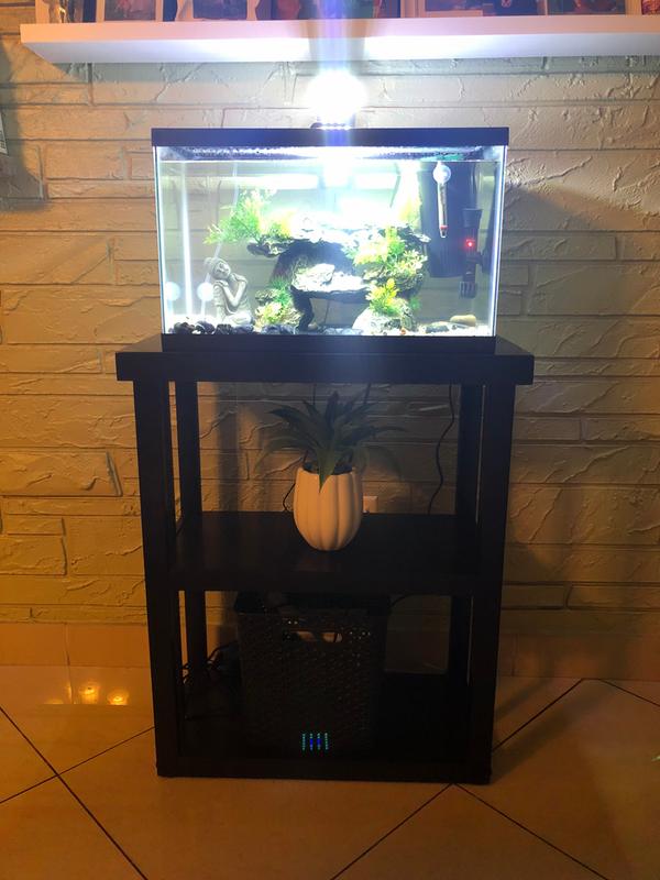 imagitarium newport wooden tank stand
