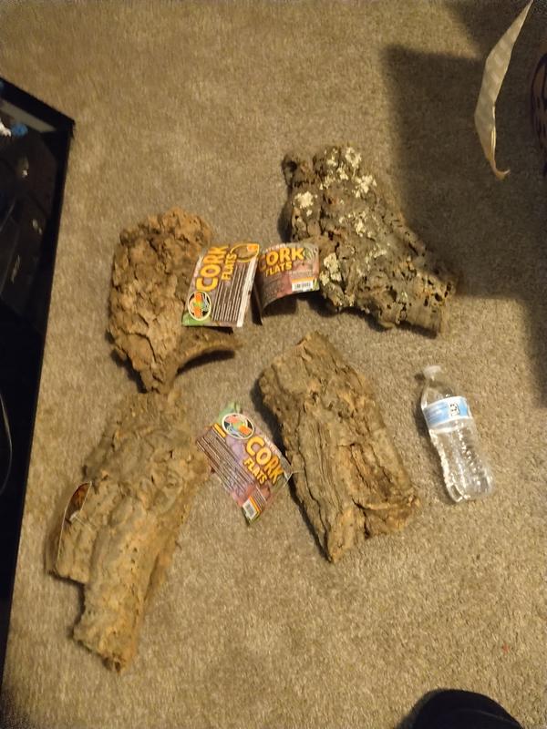 Water bottle for size comparison.