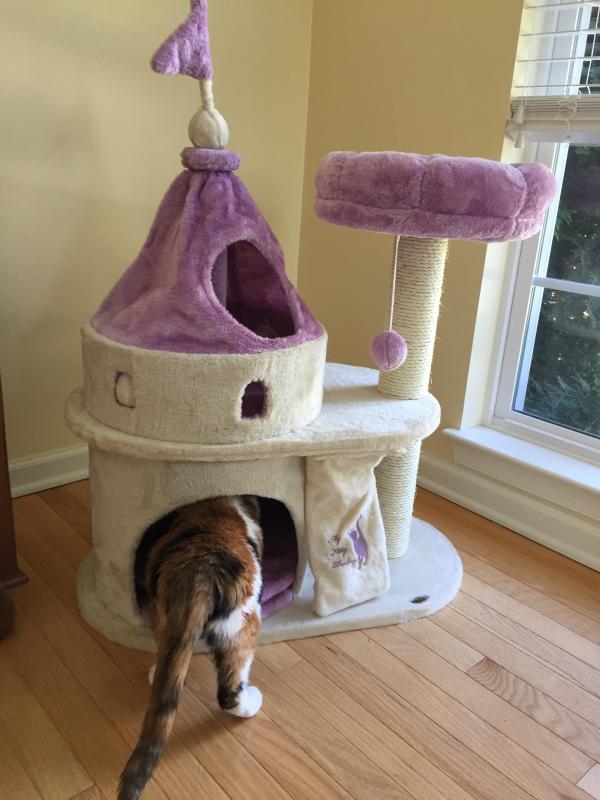 TRIXIE My Kitty Darling Castle in Purple Beige 35.25