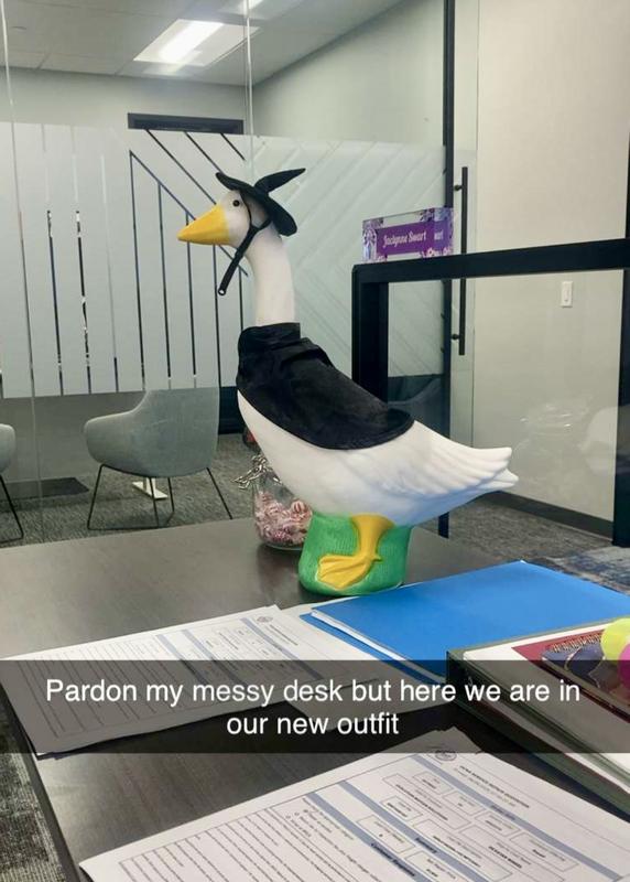Desk goose!