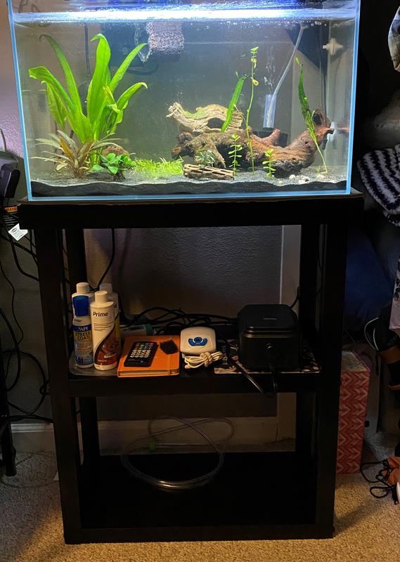 imagitarium newport wooden tank stand