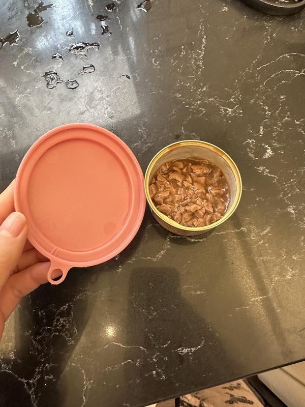 EveryYay Over The Top Mauve Food Can Lids for Pets