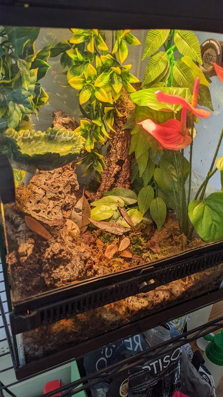 Zilla Front Opening Terrarium, 12