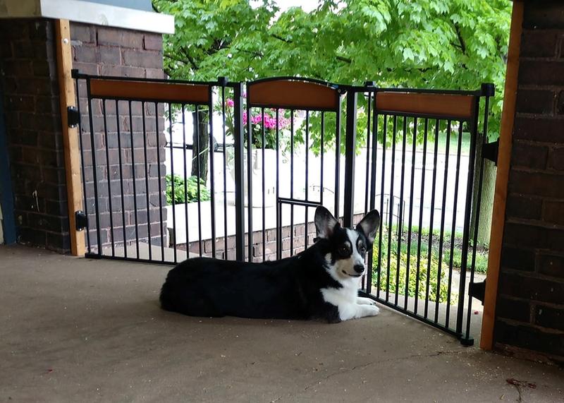 front door dog gate