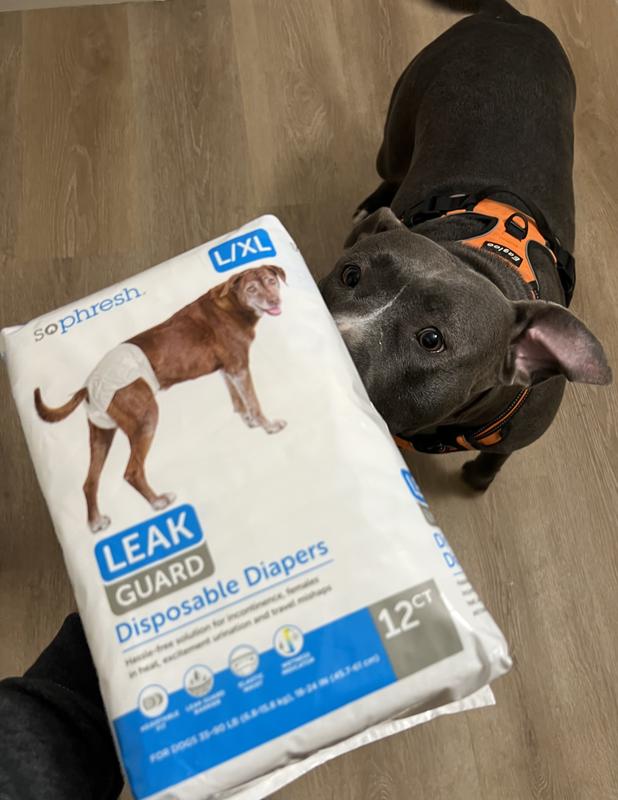 So Phresh X Small Leak Guard Pet Diapers 12 Pack