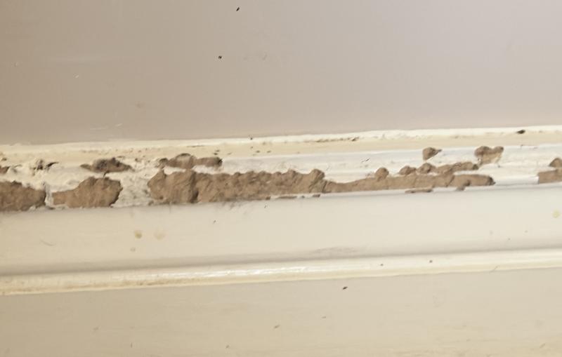 Previously chewed up skirting boards. Not anymore with this spray!