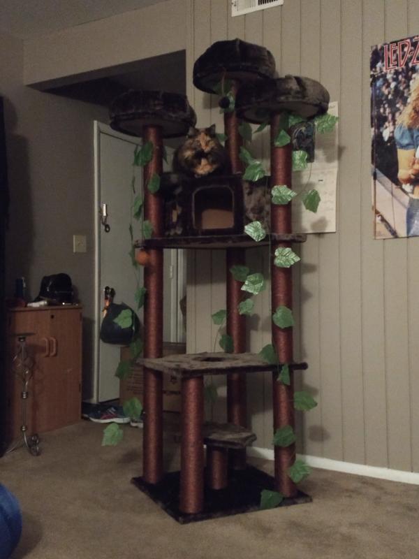 Kitty Mansions Redwood Cat Tree
