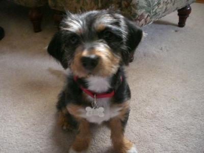 Lexi Lu, Such a cutie!