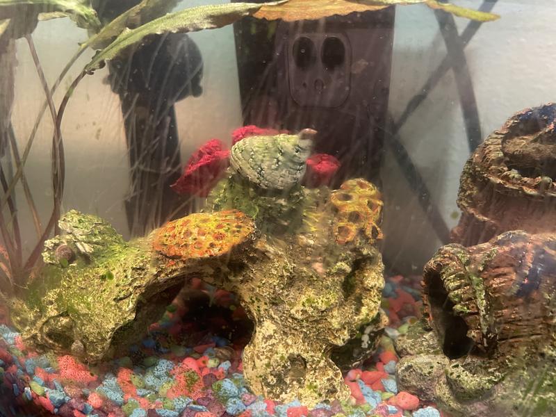 Imagitarium Aquarium Glass Scrubber & Scraper, 18"
