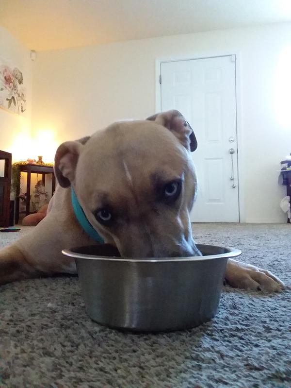 Yes, sometimes I enjoy being lazy eating my food.
