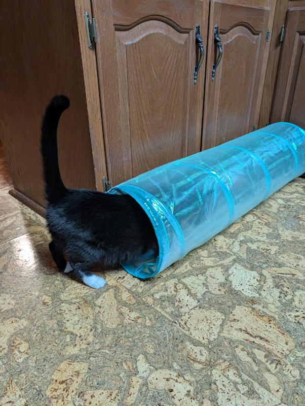 What's in here?