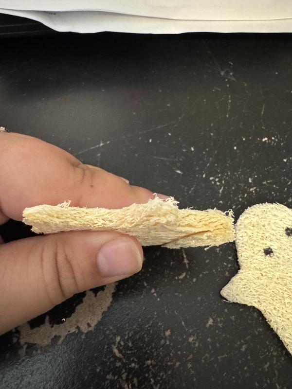 Width of the little ghostie