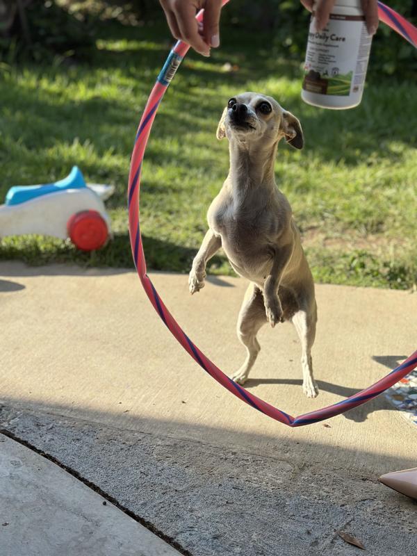 Was hopping through the hola hoop to get a vitamin!