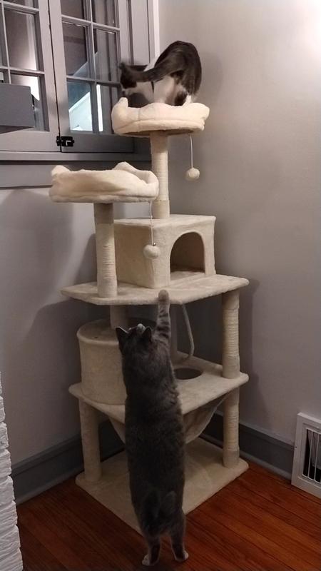 My larger cat had a hard time moving around on this cat tree. I may have misread the description when it said "Large Cat". I thought that it meant this cat tree was for large cats. But, my large cat will go on it and so will my medium and smaller cats.