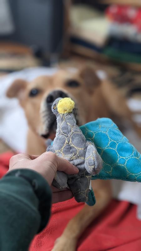 Leaps & Bounds Ruffest & Tuffest Llama-corn Tough Plush Dog Toy