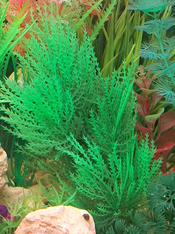 Imagitarium Green Hair grass Midground Plastic Aquarium Plant
