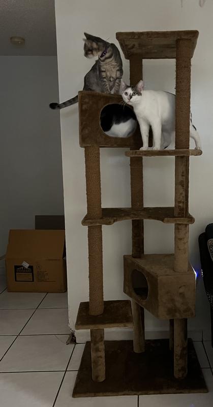 Animaze 6 outlet level cat tree