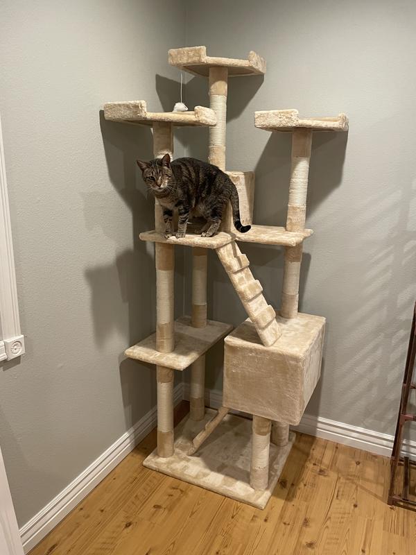 Go Pet Club 72"Cat Tree Condo with Two Ladders, Beige Petco