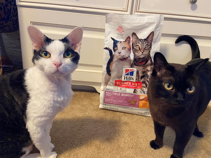 Hill's science diet cheap multiple benefit cat food