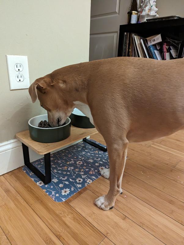 Reddy Green Elevated Double Diner Dog Bowl, 3.75 Cups