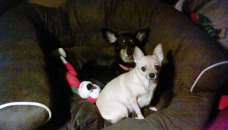 MY JAZZEE AND JUICEE