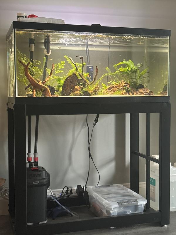 Holds up 40breeder full of water