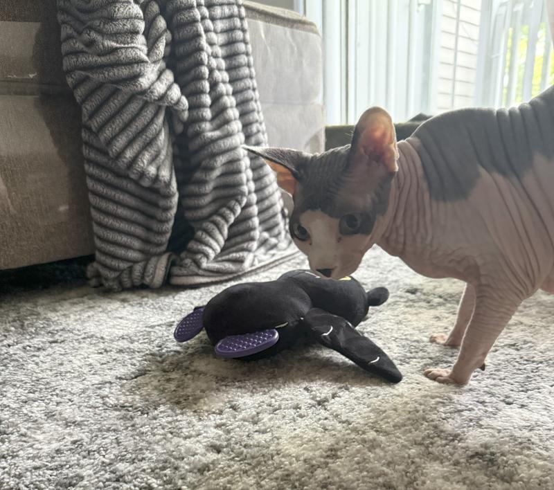 Don't even think about taking my toy!