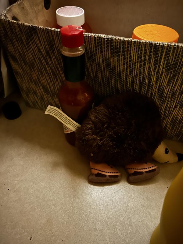 Tabasco bottle for scale.