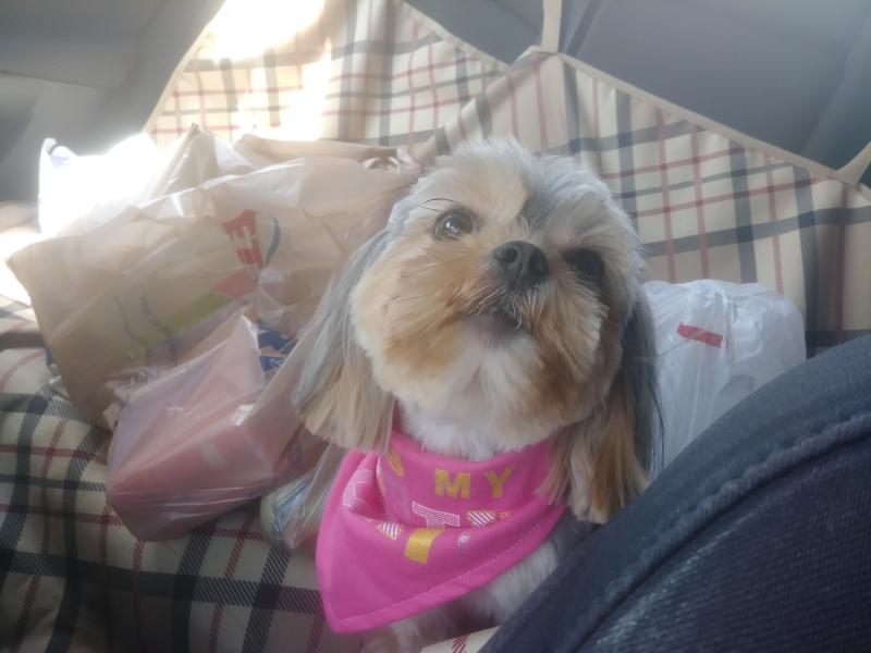 Yumi, my baby