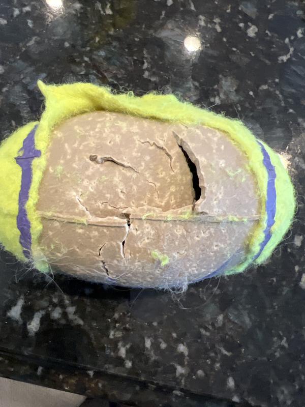 Kong squeaker football