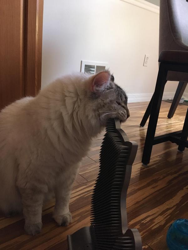 KONG Connects Kitty Self-Grooming Comber for Cats 