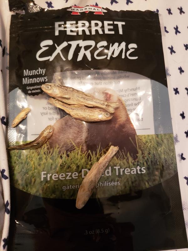 Ferret Extreme Munchy Minnows Treats