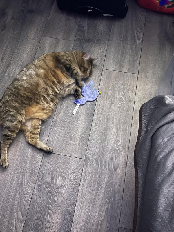 Play time