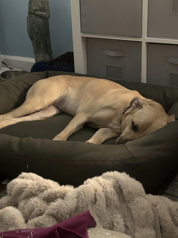 Photo - commentaire 3.