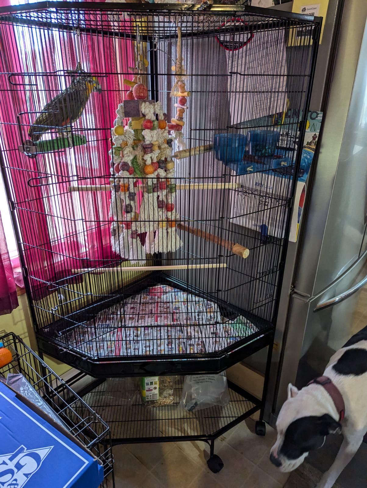 Corner cage for small pets hotsell