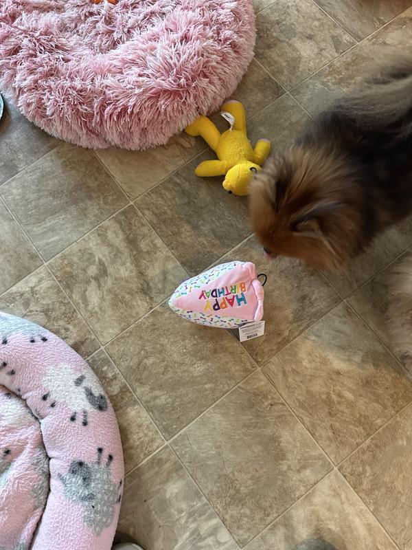 Maybe too large for 5 lb toy dogs